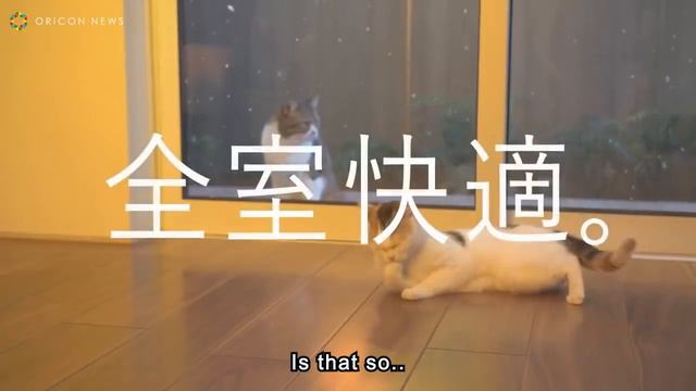 [ENG SUB] Seiyuu as cats in Japanese CM смотреть онлайн
