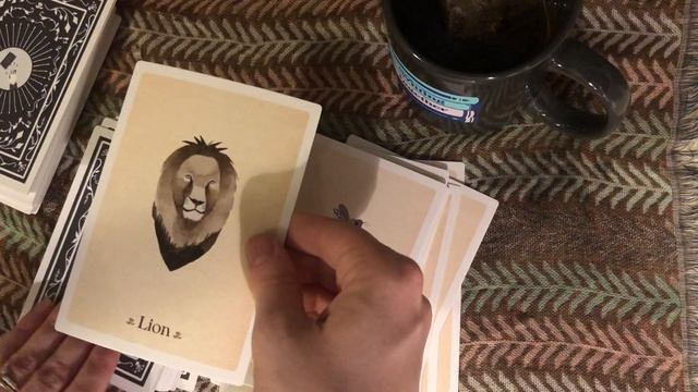 Review of Literary Witches Oracle by Taisia Kitaiskaia and Katy Horan | NaNoWriMo Vlog Day 6 смотреть онлайн