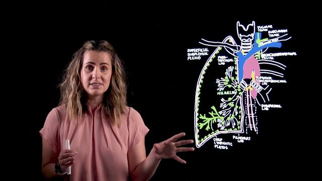 Lymph Nodes and Drainage of the Thorax - A Lightboard Production смотреть онлайн