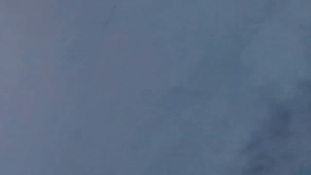 Алтай засыпало снегом, сенбернары спасайте! смотреть онлайн
