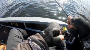 ЛУЧШИЙ ПОВОДОК НА ЩУКУ и окуня! Флюр или металлический поводок! Что лучше ставить?