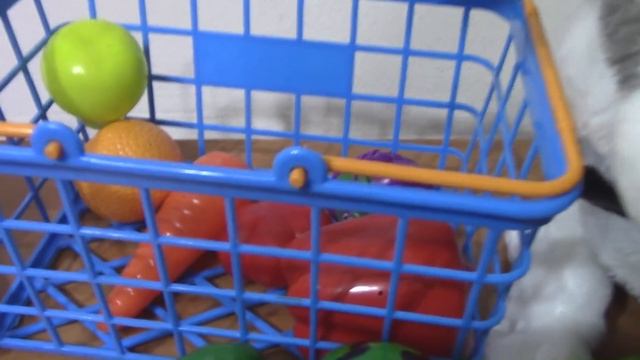 Учим названия и цвета ФРУКТОВ и ОВОЩЕЙ с Машей и щенком Принцем!