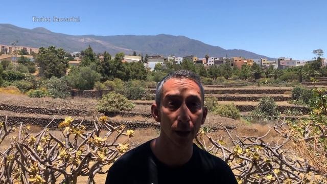 Le Piramidi di Guimar, Tenerife, con Enrico Baccarini смотреть онлайн