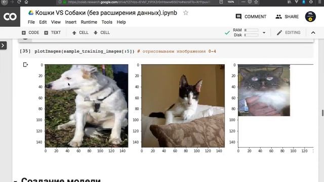 Свёрточные нейронные сети: классификация кошек и собак, ImageDataGenerator, переобучение. смотреть онлайн