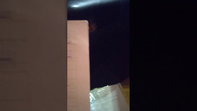 Автодом из автобуса. Часть 6 - Ура!!! заявление приняли смотреть онлайн