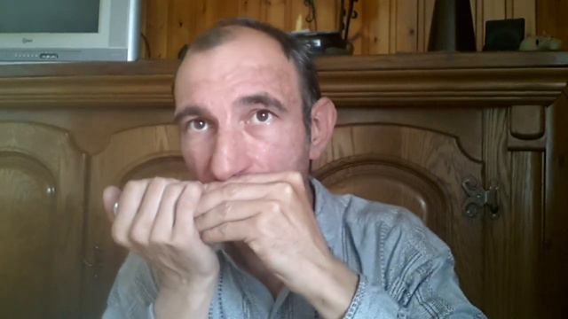 Bob Marley - Redemption Song (Harmonica Cover) By Laurent O. ! смотреть онлайн