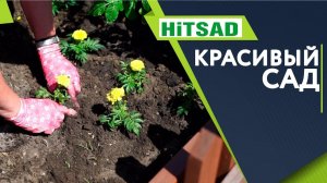 Дизайнерский огород ✔️ Красивые Грядки Это Вкусно и Красиво   Советы От Хитсад ТВ хитсад медиа