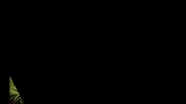 новогоднее украшение класса смотреть онлайн