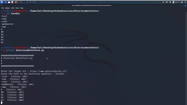 Python Directory Brute force script смотреть онлайн