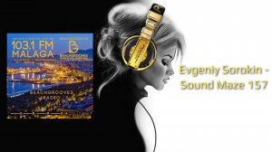 Evgeniy Sorokin - Sound Maze 157