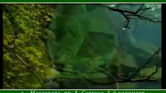Минеральная вода смотреть онлайн