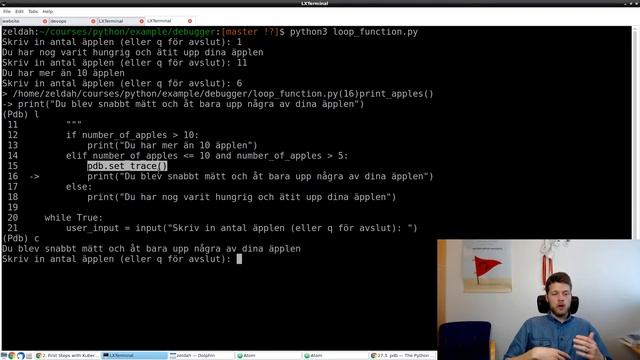 304 Python debugger del5 смотреть онлайн