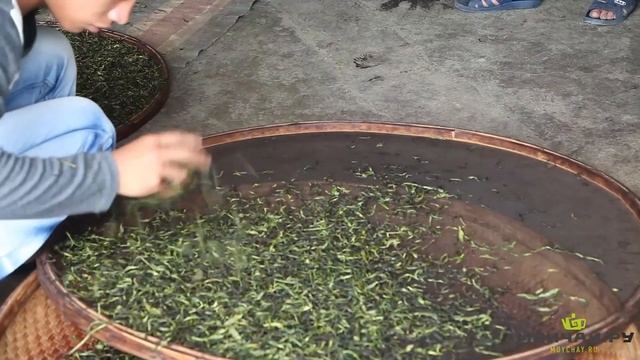 Famous Dancong Oolong tea. Journey to Chaozhou. смотреть онлайн