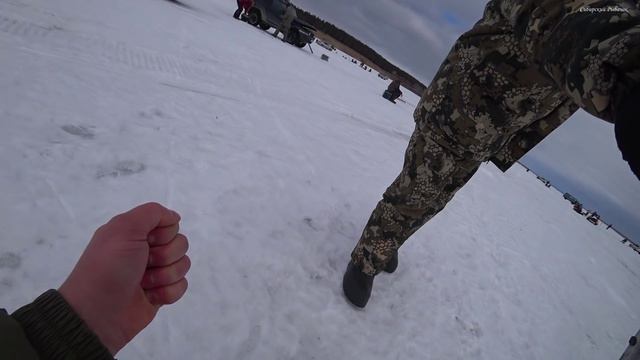 РЫБА МОНСТР НЕ ЛЕЗЕТ В ЛУНКУ! НА ЭТО ВЫВАЖИВАНИЕ СОБРАЛАСЬ ТОЛПА! Рыбалка на судака на водохранилищ смотреть онлайн