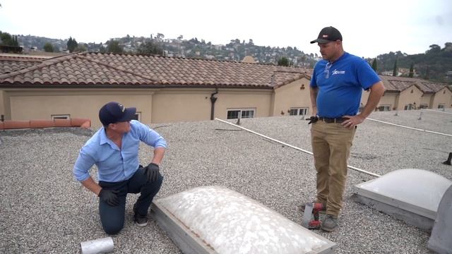 The BEST Way to Get Rid of Rats and Mice QUICKLY from your Ceiling and Walls - Twin Plumbing смотреть онлайн