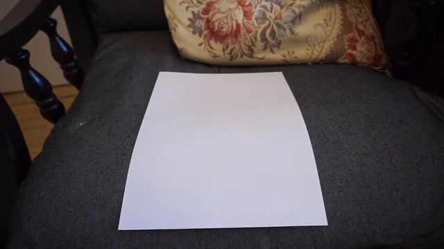 Как узнать есть ли у кошки блохи? смотреть онлайн