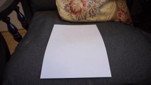 Как узнать есть ли у кошки блохи?