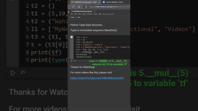Python tuple elements object oriented style of element manipulation with magic method obj. __mul__ смотреть онлайн