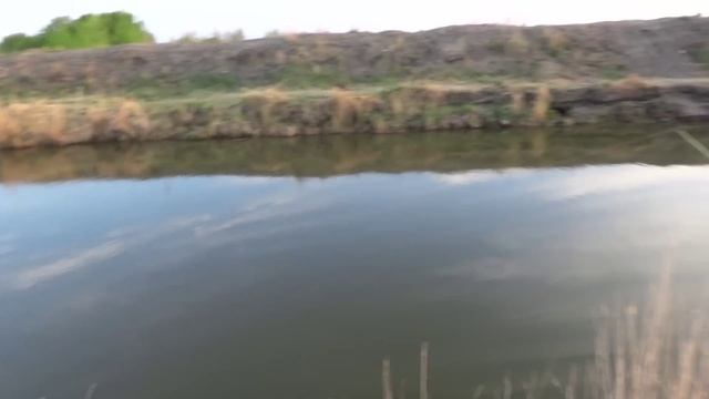 САЗАН ПОШЁЛ! Сначала не КЛЕВАЛО, а потом ПОПЁРЛО! Рыбалка на сазана, сазан на донки. Рыбалка 2023 смотреть онлайн