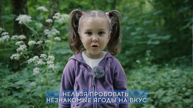 МЧС России Детская безопасность Растения, грибы и ягоды смотреть онлайн