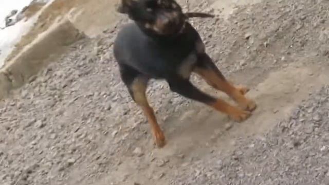 Новый фотоаппарат смотреть онлайн