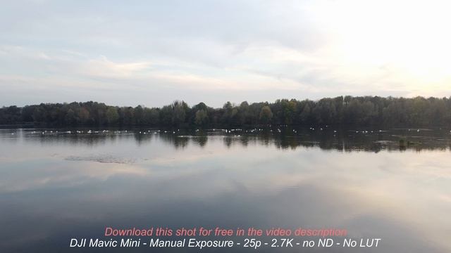 DJI Mini 2 vs Mavic mini ACTUAL FOOTAGE + LUT Pack cinematic смотреть онлайн