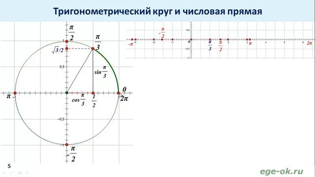 Тригонометрический круг и числовая прямая смотреть онлайн
