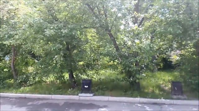 Погода каждый день Иркутск, Irkutsk, 07.06.2017, Цветет Сирень, #mreporter смотреть онлайн