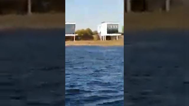 Обучение маломерные суда ДелоТрактор смотреть онлайн