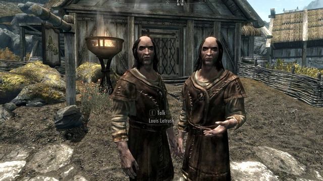 Skyrim: Funny Duplicate NPC Bug смотреть онлайн