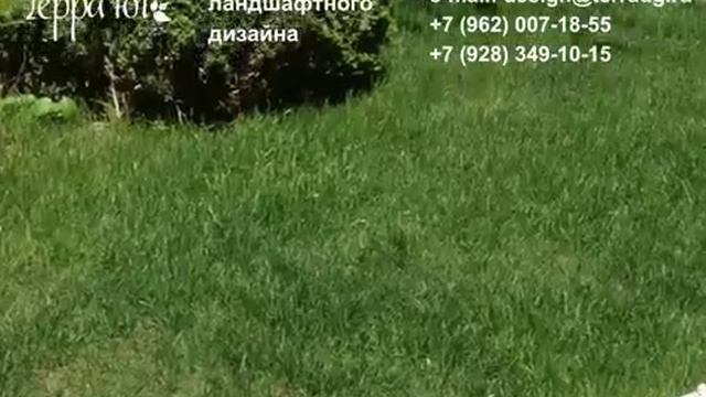 Студия ландшафтного дизайна Терра Юг смотреть онлайн