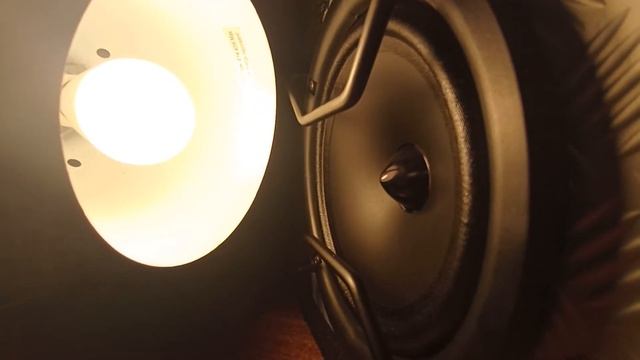 This Speaker Is Worth The Money! Mac Audio BT Force 116 Bluetooth Speaker Bass Test!? смотреть онлайн