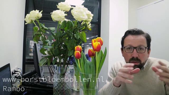 White Naomi, tulipano Rambo, Hyacinthus Blue Delft 🌷🌹 смотреть онлайн