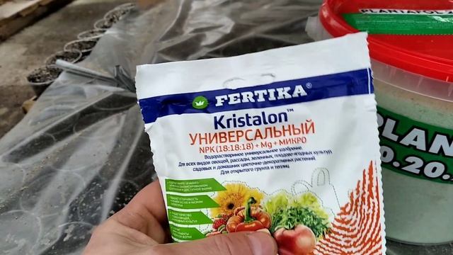 Как вырастить КРАСИВЫЕ ЦВЕТЫ на продажу? Наш СЕКРЕТ ПОДКОРМКИ от А до Я! смотреть онлайн