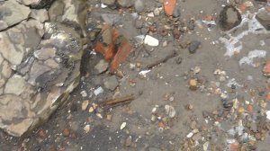 ТХ-850 после Легенды. Стоит ли переплачивать за Нокту.