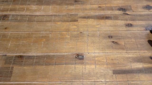 Carolina Reaper Grow Pot #carolinareaper #carolinareaperchallenge #diy