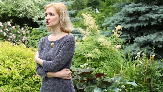 Вадим Шефнер "22-е июня" смотреть онлайн