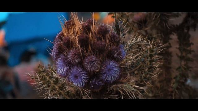Climbing Mount Kilimanjaro - Highest Point Of Africa | 4K Cinematic