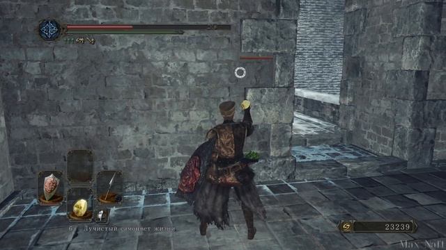 Dark Souls 2-Элеум Лойс осматриваемся в локации в поисках ништяков и бьемся с ледяными воинами. смотреть онлайн