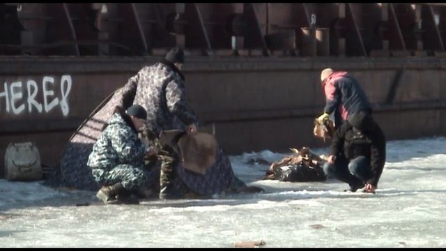 ОМСК ФИОН субботник 5 апреля. смотреть онлайн