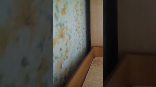 Что за фигня!? У нас дома завелись клопы!! Наверно я знаю кто это сделал... (Чарли) смотреть онлайн