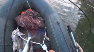 Рыбалка на паук подъёмник Десять подъёмов.Пол мешка рыбы. Дуги согнуло от такой рыбы. 2я часть