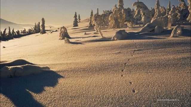 О заповеднике "Денежкин Камень" смотреть онлайн