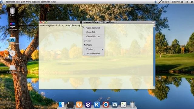 Installing Pearl Mate 7 in Virtualbox смотреть онлайн