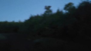 ПОЕХАЛ ОДИН В ЛЕС НОЧЬЮ НА МОПЕДЕ / Мопед альфа Покатушки на мотоцикле в поле!