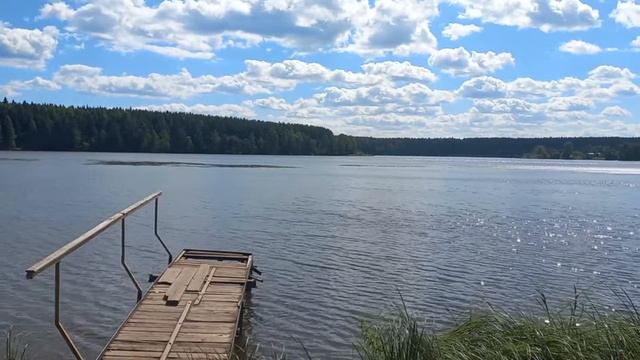 на берегу пруда, Вода и шум ветра смотреть онлайн