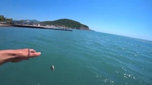 Морская рыбалка. рыбалка в Черном море с берега 20.05.2021
