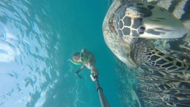 Мальдивы смотреть онлайн