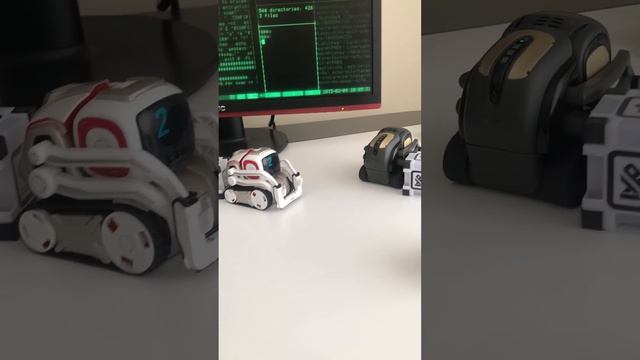 Vector Cozmo ya Sıpa Dedi смотреть онлайн