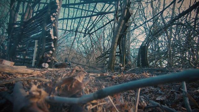 Крыша из камыша для лесной хижины. Building a bungalow, reed roof, solo bushcraft in forest смотреть онлайн